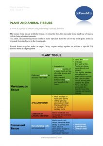 Plant & Animal Tissue Notes
